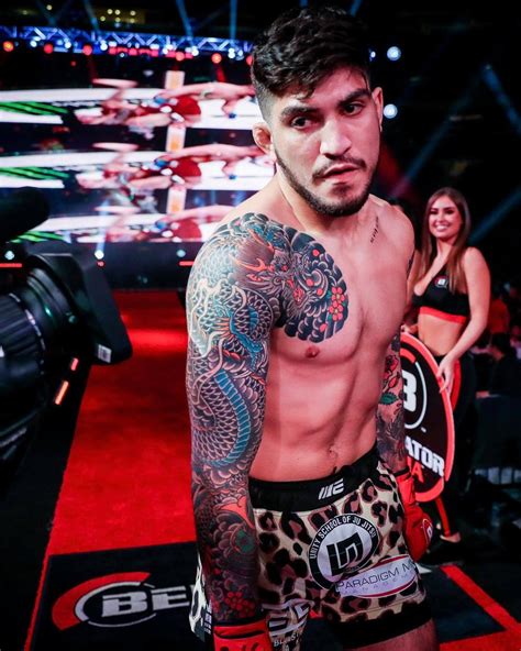 dillon danis twitter